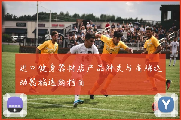 进口健身器材店产品种类与高端运动器械选购指南