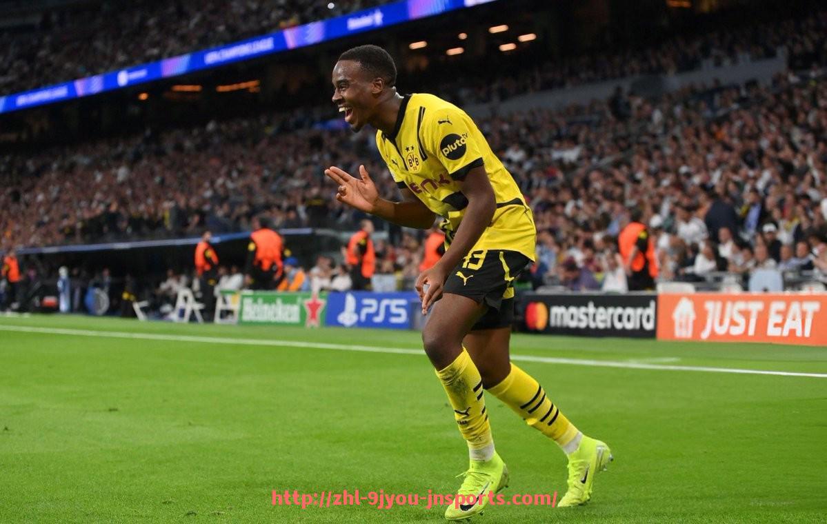 J9九游会登录入口-未曾降级的德甲球队名单及保级秘诀